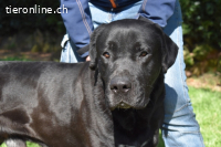 Quilver - Im Stillen reift, was Bestand haben will