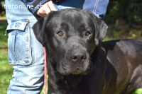 Quilver - Im Stillen reift, was Bestand haben will