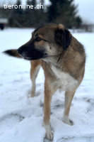 Rey (4 Jahre) möchte ländlich leben