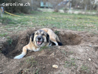 Rey (4 Jahre) möchte ländlich leben