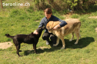 Robin - ein völlig unkomplizierter + fröhlicher Hundeschatz