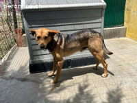 ROMEO UND JULIETA SIND EIN HERZ UND EINE SEELE