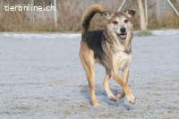 Rudi sucht Partner fürs restliche Leben! (9 Jahre)