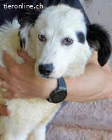 Rylando - Ein Anfang, der nie kam...