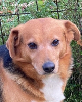 Sandokan - manches braucht ein Wunder