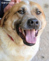 Savery - wer zeigt ihm was Leben bedeeutet ?