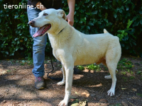 Sean - das Piepsen hinter den Gittern...