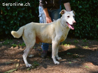 Sean - das Piepsen hinter den Gittern...