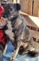 Seniorin Nancy – Es geht um die Wurst