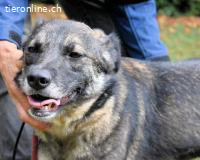 Silvana - im Eilschritt nach Hause?