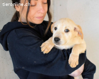 Sirette - ...und Sniffy halten zusammen