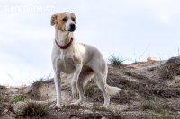 Sissi  – vorsichtige Schmusebacke