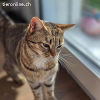 Sky und Solea - das Ying und Yang Duo