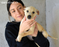 Sniffy - ...und Sirette halten zusammen