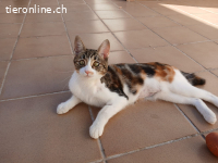 Sofia - Besondere Schönheit mit charmantem Blick