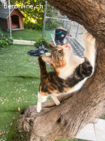 Sofia - Besondere Schönheit mit charmantem Blick