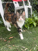 Sofia - Besondere Schönheit mit charmantem Blick