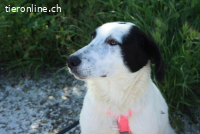 Sol – ein schüchternes Herz sucht Wärme