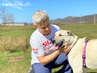 Stanley ist sehr menschenbezogen