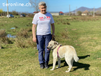 Stanley ist sehr menschenbezogen