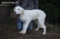 Stobin - So jung und so chancenlos ...