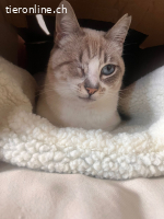 Süsse Beanie sucht ihre Lieblingsmenschen