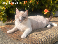 Süsse Beanie sucht ihre Lieblingsmenschen