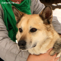 Tano, ein Goldschatz!