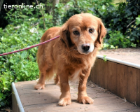 Telyr - "Test, Test, Test"