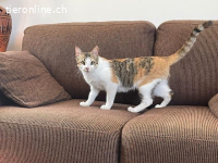 Temperamentvolle Lea sucht ihr Zuhause