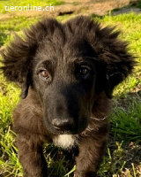 Thor - ein Licht in der Finsternis