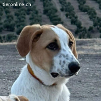 Tina – eine kleine Entdeckerin mit großem Lebenswillen