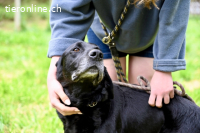 Titus - Hat jemand aus dem Fenster geschaut?