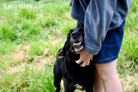 Titus - Hat jemand aus dem Fenster geschaut?