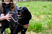 Titus - Hat jemand aus dem Fenster geschaut?