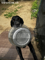 Titus - Hat jemand aus dem Fenster geschaut?