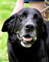Titus - Hat jemand aus dem Fenster geschaut?