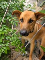 Tornel – Ein Rohdiamant sucht seine Chance