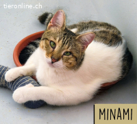 Traumzuhause gesucht