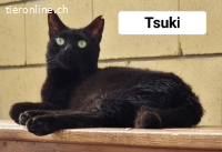 Traumzuhause gesucht