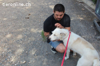 Tristan - möchte auf die Sonnenseite des Lebens!