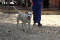 Tristan - möchte auf die Sonnenseite des Lebens!