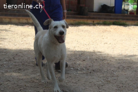 Tristan - möchte auf die Sonnenseite des Lebens!