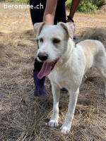 Tristan - möchte auf die Sonnenseite des Lebens!