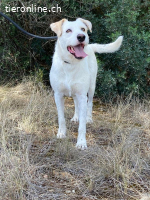 Tristan - möchte auf die Sonnenseite des Lebens!