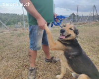 Tutti - wenn man ihm Vertrauen schenkt, gibt er alles zurück