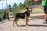 Tutti - wenn man ihm Vertrauen schenkt, gibt er alles zurück