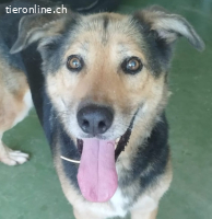 Tutti - wenn man ihm Vertrauen schenkt, gibt er alles zurück