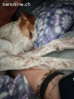 Tutu – ein Herz voller Mut und Lebenslust