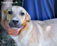 Ulbert - hat alles verloren...
